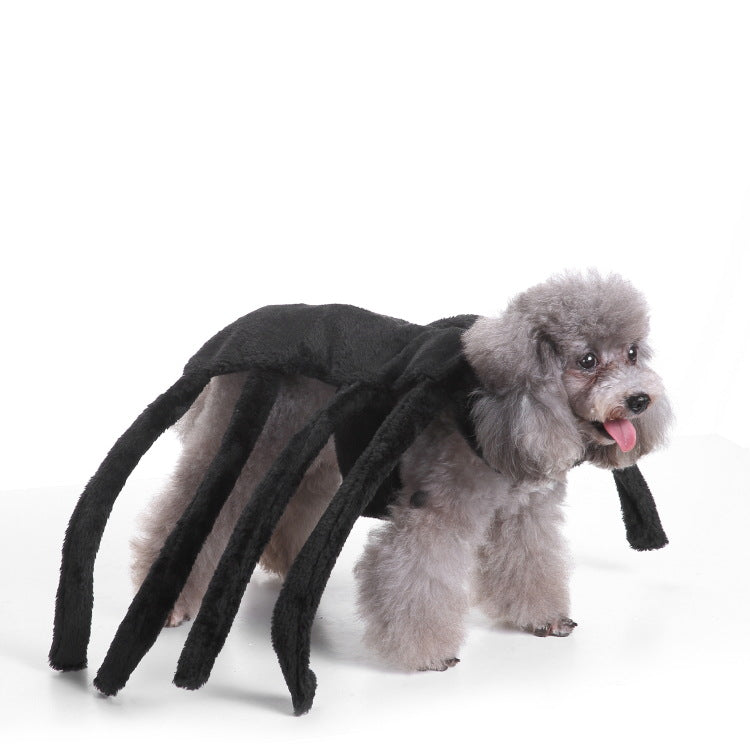 Halloween Pet Costume Quirky Bat Style Funny Outfit for Dogs &amp; Cats