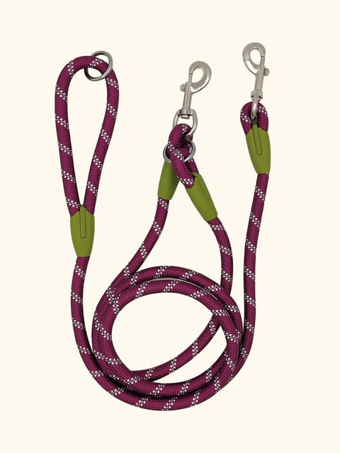 Reflective Nylon Dog Leashes