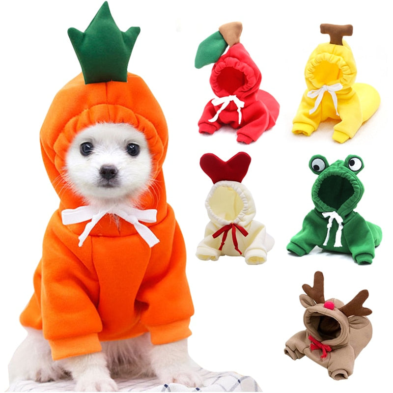 Puppy Tailored Fruit Wear