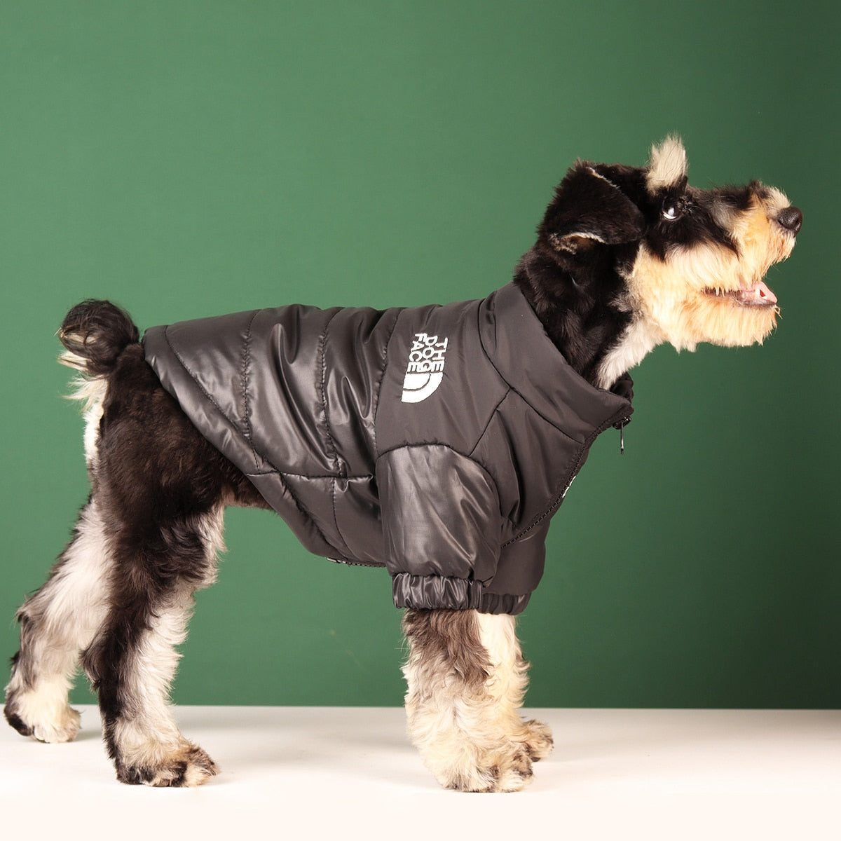 Warm Fashionable Dog Jackets