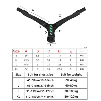 Posture Corrector - PosturePro