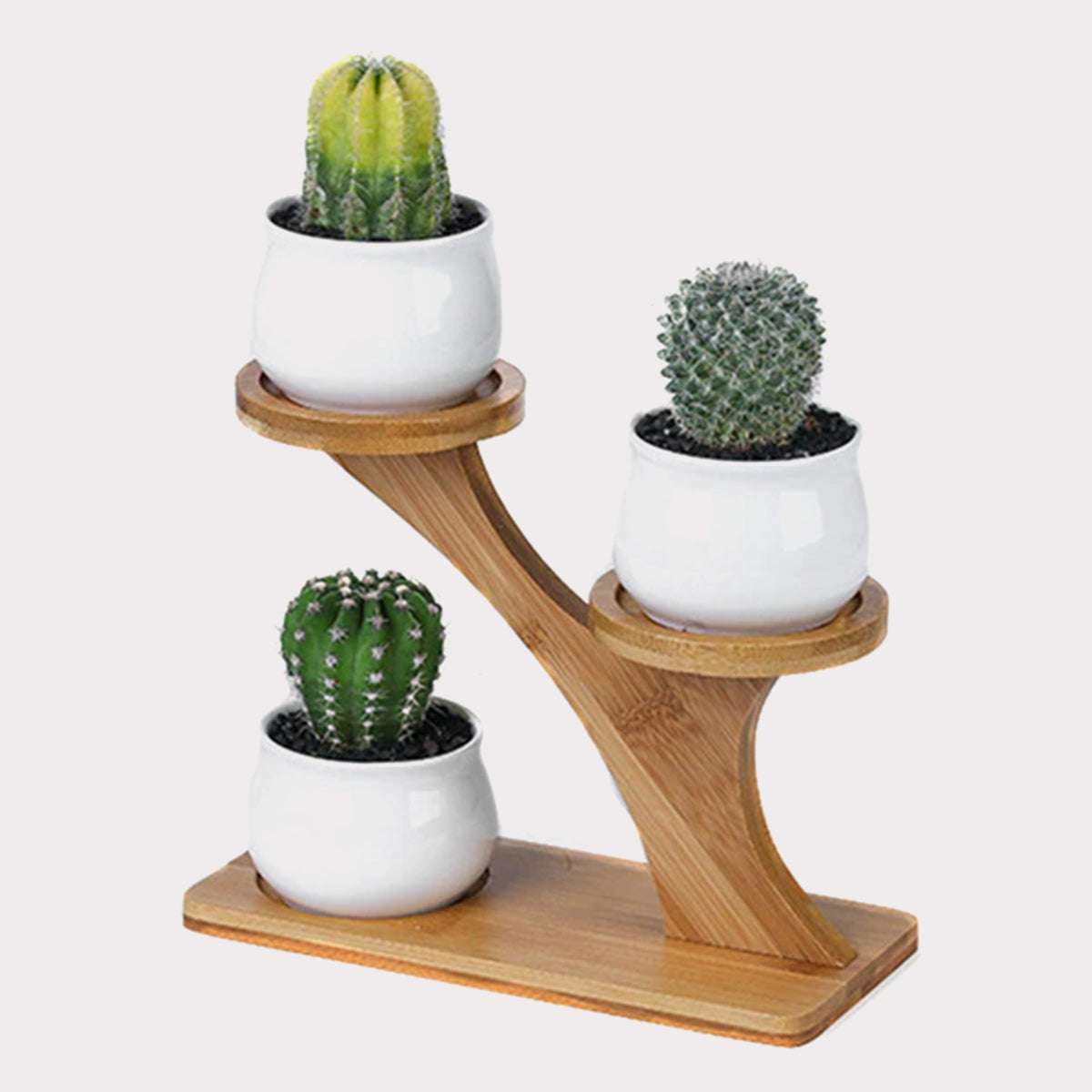 Succulent Pots & Bamboo Shelf