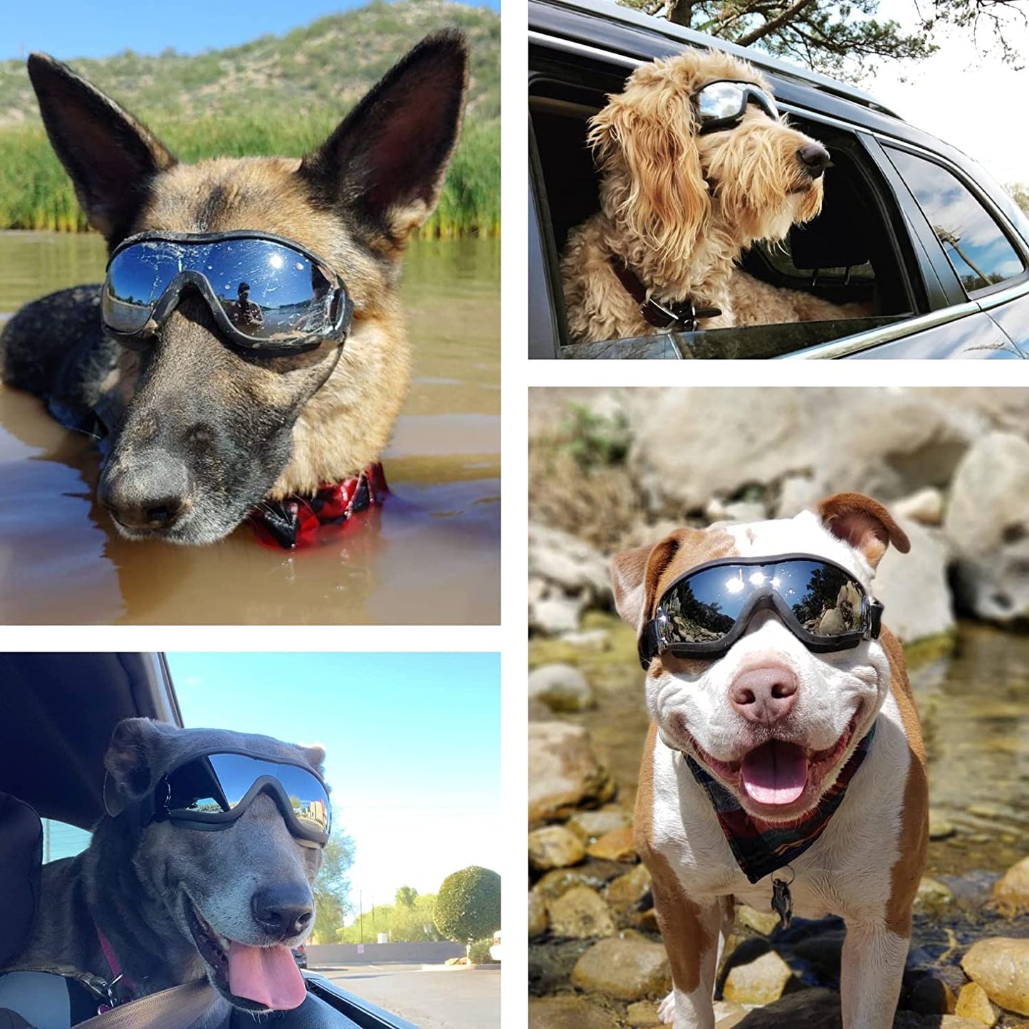 Adjustable Strap Dog Goggles